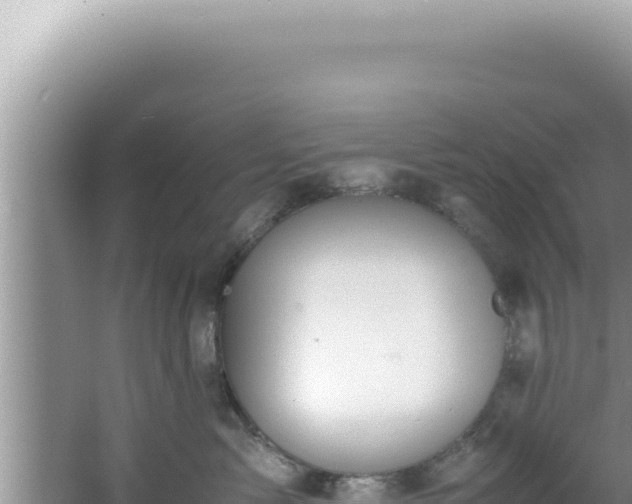 X0000061720717200512092000