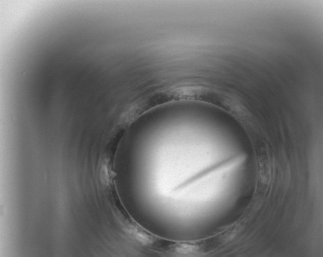 X0000061720718200512092000