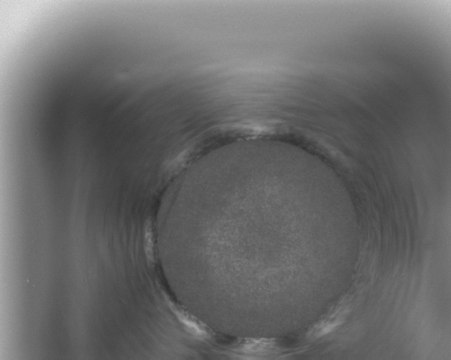 X0000061720720200512092000