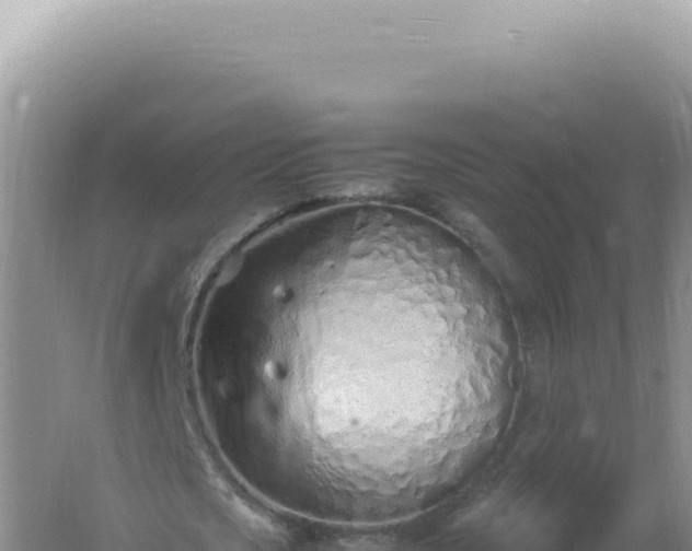 X0000061720721200512091959