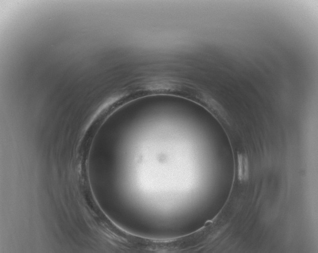 X0000061720723200512091959