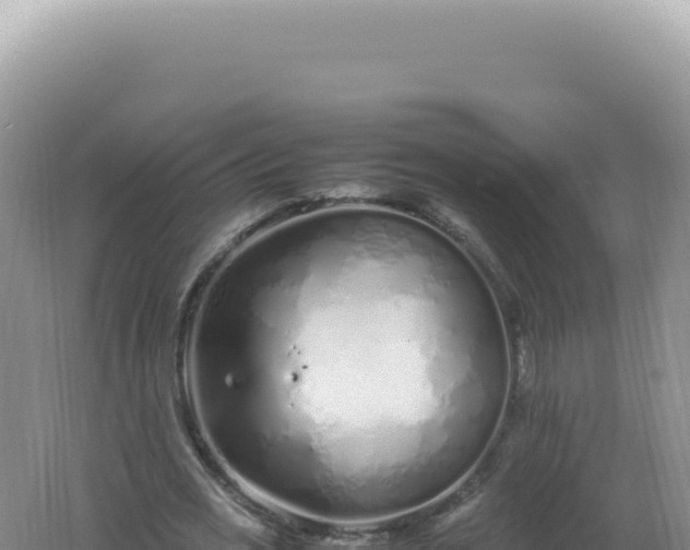 X0000061720725200512091959