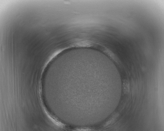 X0000061720726200512091959