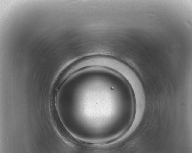 X0000061720728200512091959