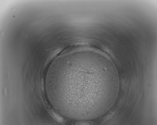 X0000061720729200512091959