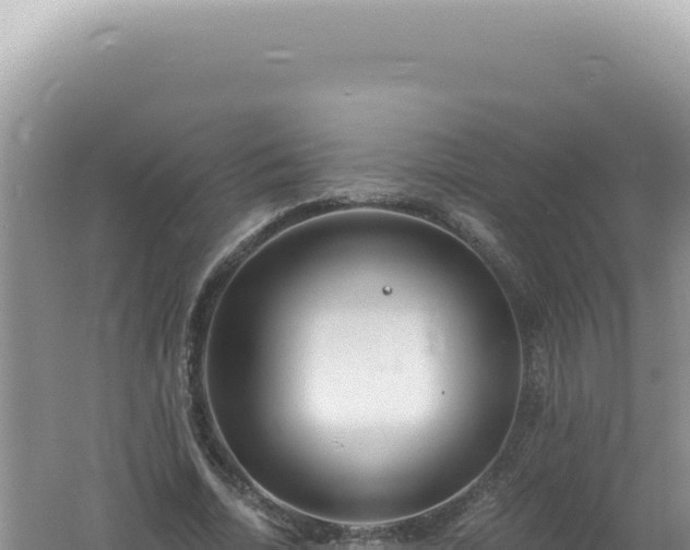 X0000061720730200512091959