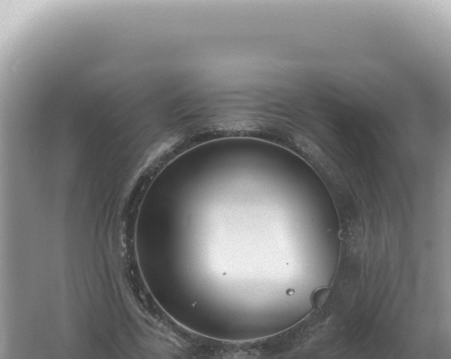 X0000061720731200512092000