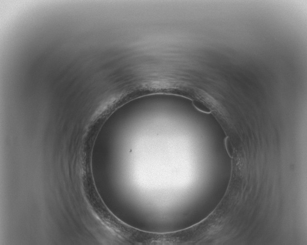 X0000061720732200512092000