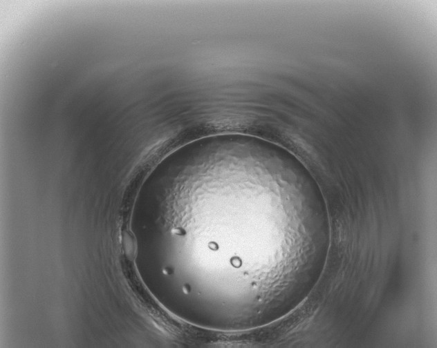 X0000061720733200512092000