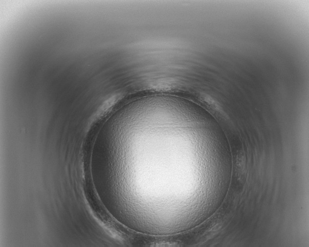 X0000061720734200512092000