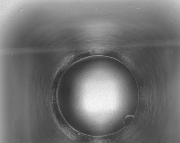 X0000061720738200512092000