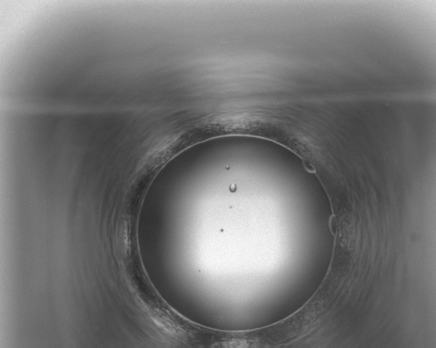 X0000061720740200512092000