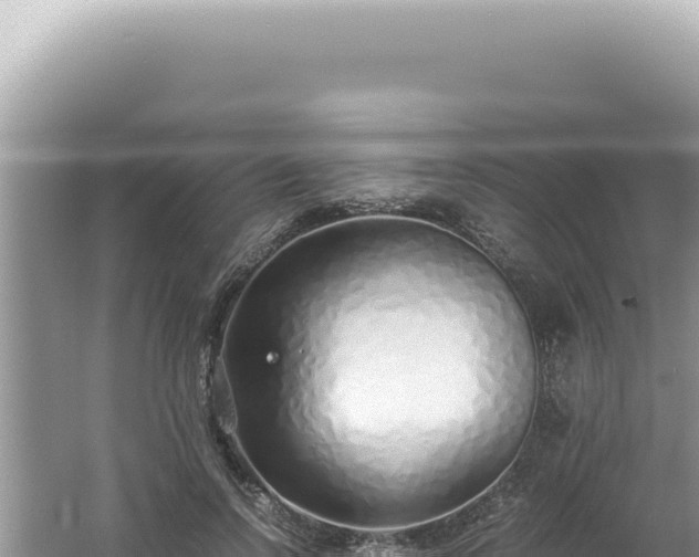 X0000061720742200512092000