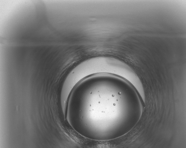 X0000061720744200512092000