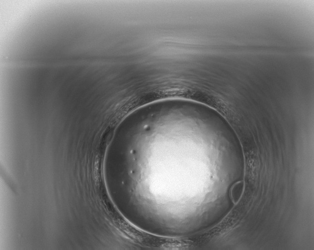 X0000061720745200512092000