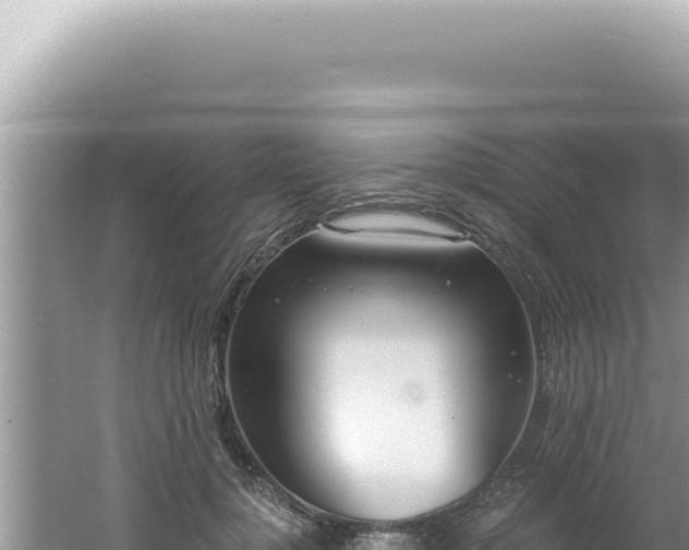 X0000061720748200512092000