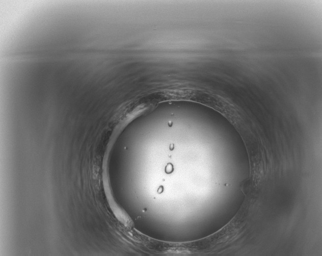 X0000061720749200512092000