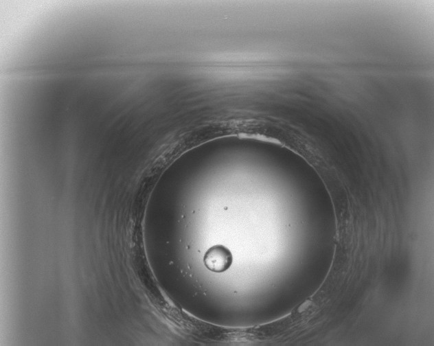 X0000061720750200512092000