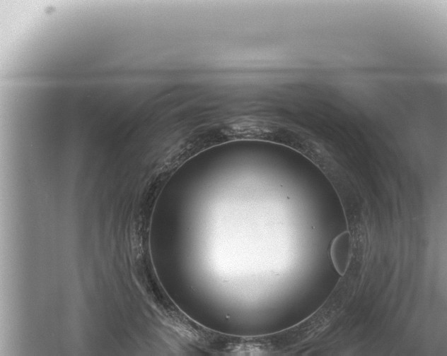 X0000061720751200512092000