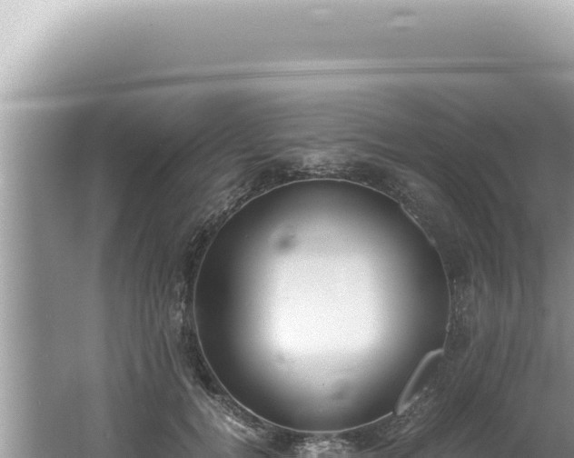 X0000061720752200512092000