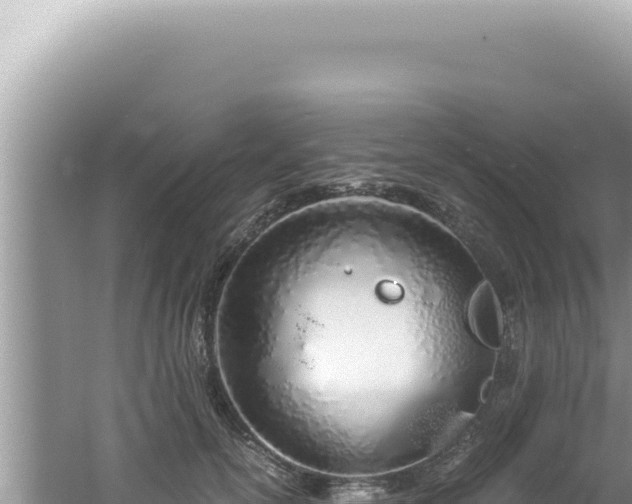 X0000061720754200512092000