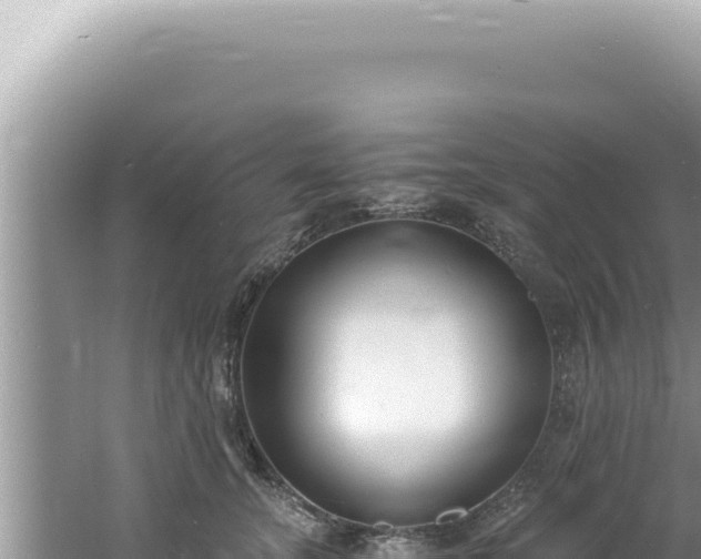 X0000061720755200512092000