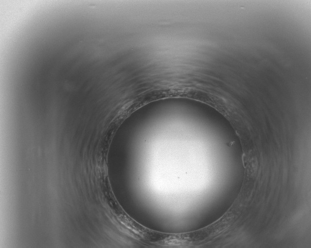 X0000061720756200512092000