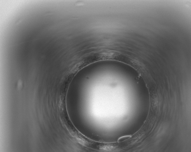 X0000061720759200512092000