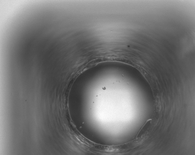 X0000061720760200512092000