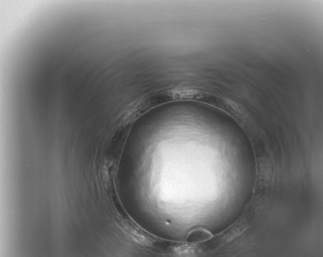 X0000061720761200512092000