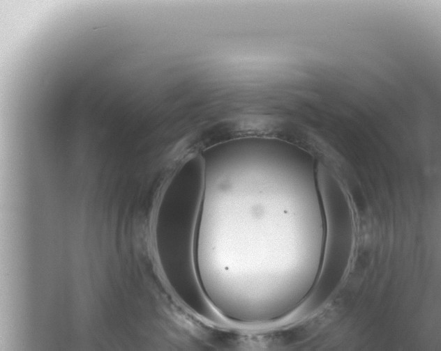 X0000061720764200512092000