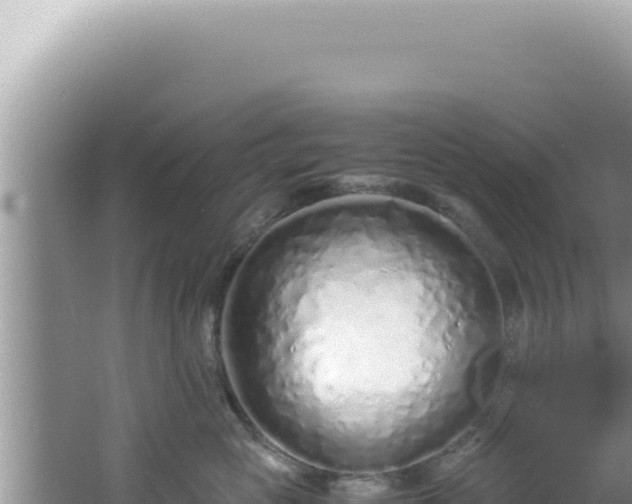 X0000061720765200512092000