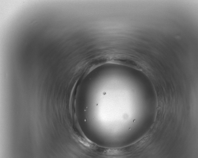 X0000061720766200512092000