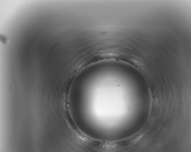 X0000061720767200512092000