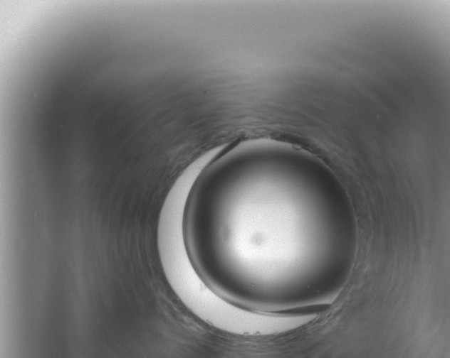 X0000061720768200512092000