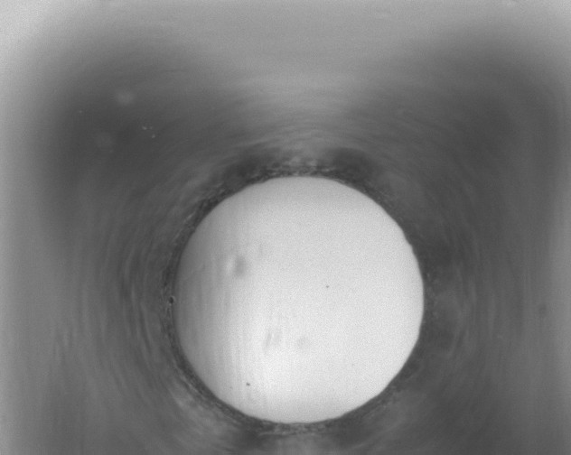 X0000061720769200512091959