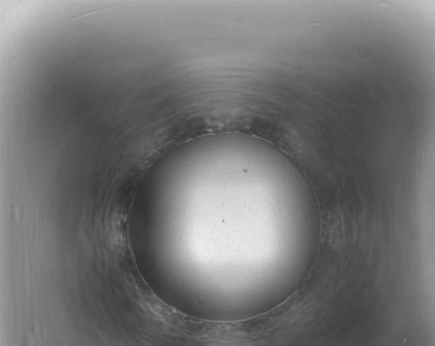 X0000061720770200512091959