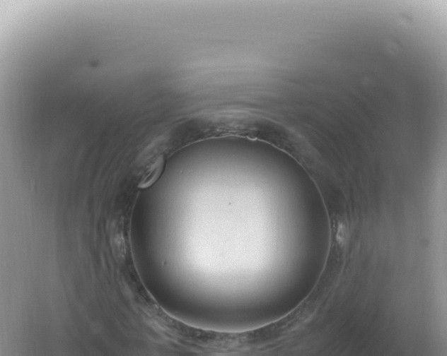 X0000061720771200512091959