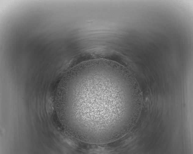 X0000061720772200512091959