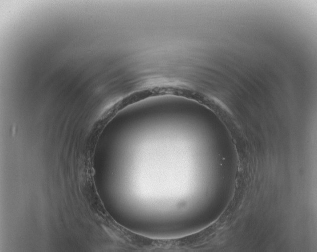 X0000061720775200512091959