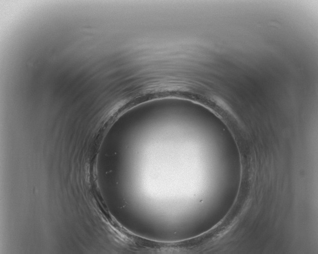 X0000061720777200512091959