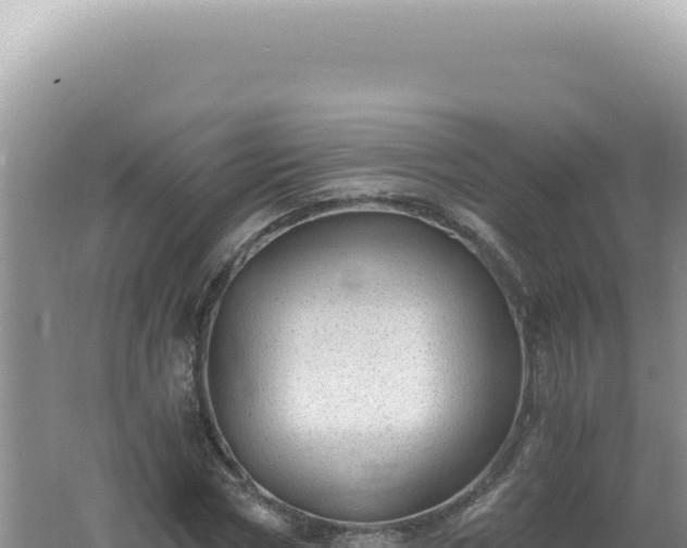 X0000061720778200512091959