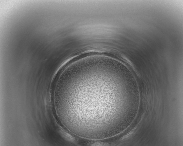 X0000061720779200512091959