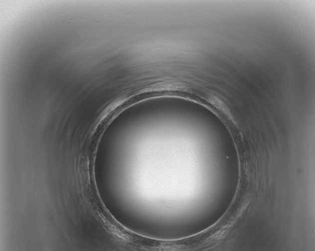 X0000061720781200512091959