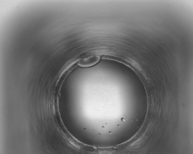 X0000061720782200512091959