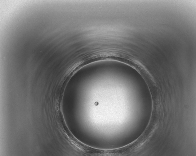 X0000061720785200512091959