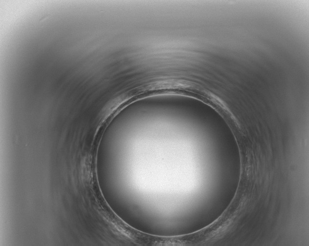 X0000061720786200512091959