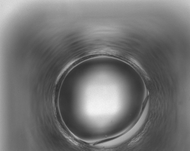 X0000061720788200512091959