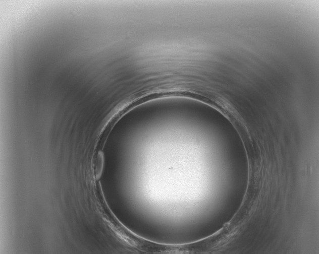 X0000061720789200512091959