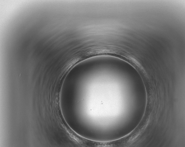 X0000061720793200512091959